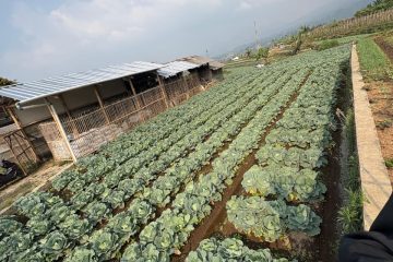 Dijual tanah untuk Villa di Panundaan Ciwidey